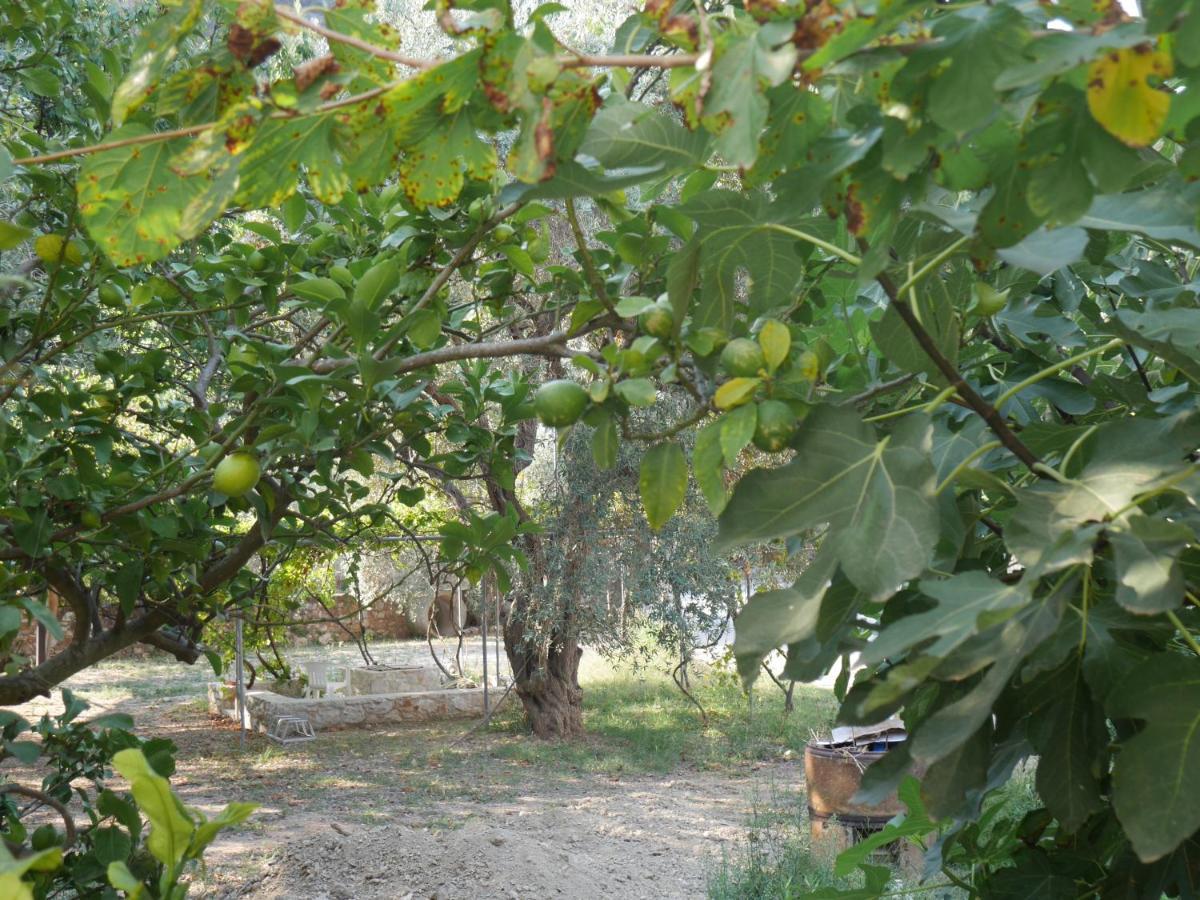 O Pyrgos Accommodations Panormos  エクステリア 写真
